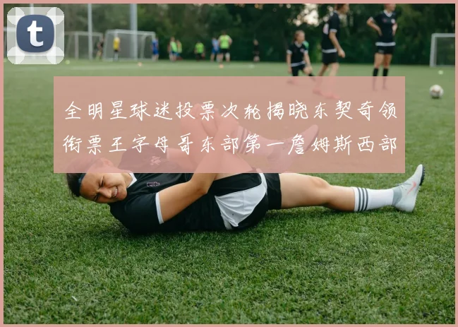 全明星球迷投票次轮揭晓东契奇领衔票王字母哥东部第一詹姆斯西部第八