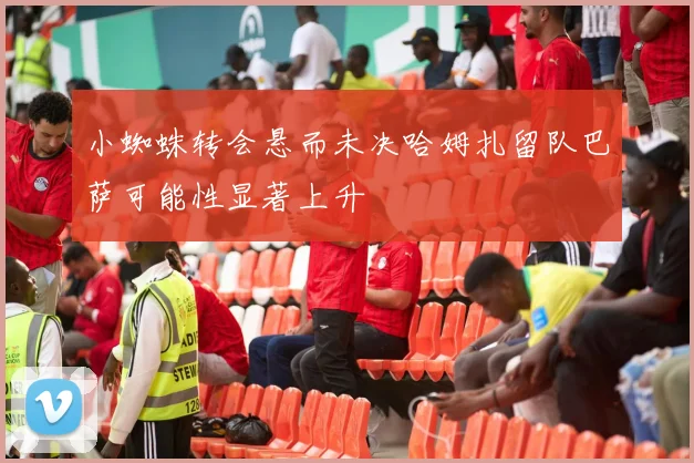 小蜘蛛转会悬而未决哈姆扎留队巴萨可能性显著上升