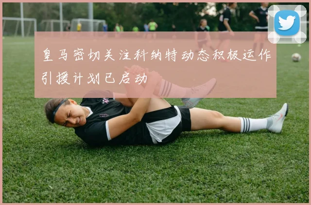 皇马密切关注科纳特动态积极运作引援计划已启动